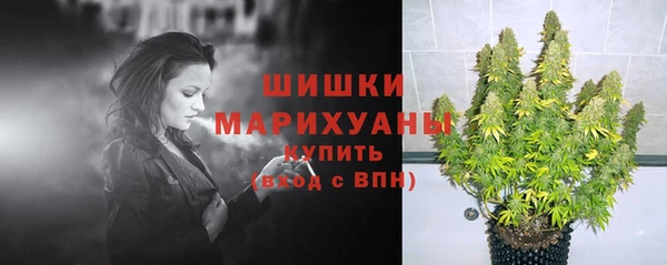 МДПВ Верея