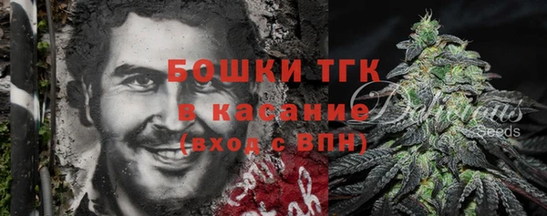 мдпв Верхний Тагил